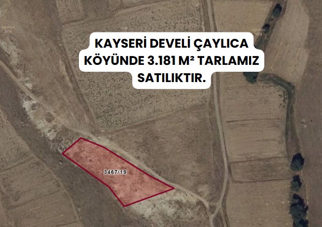 KAYSERİ DEVELİ ÇAYLICA  KÖYÜNDE  3.181  M² TARLA SATILIKTIR - KAYSERİ DEVELİ fotoğraf 7